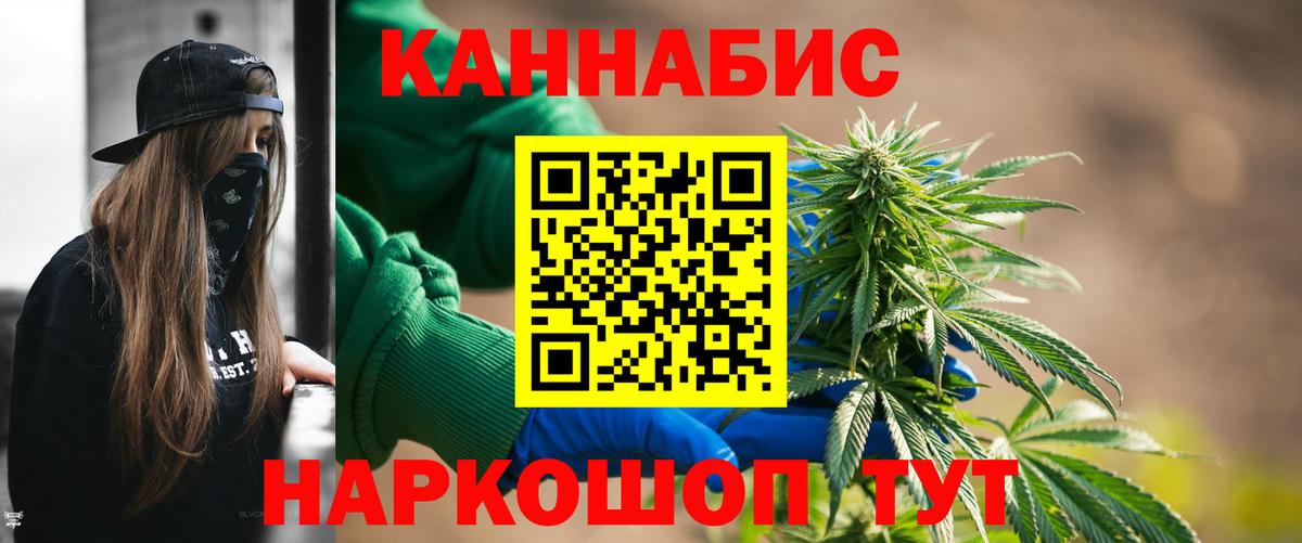 Бошки марихуана Amnesia  Бошки Шишки план  Бошки Шишки план  Грозный  Вход с VPN 